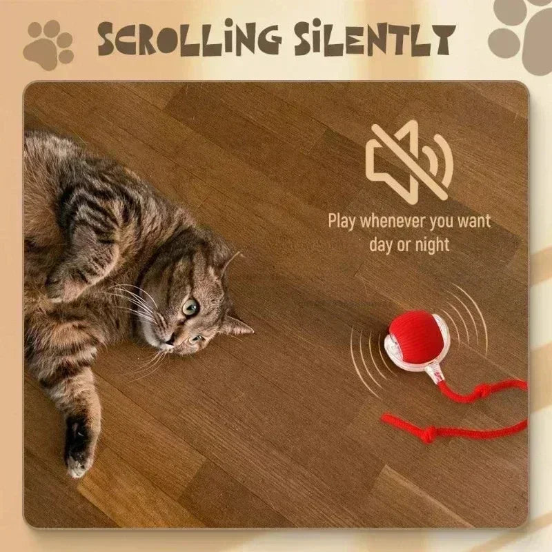 Interactive Cat Ball