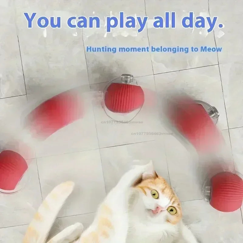 Interactive Cat Ball
