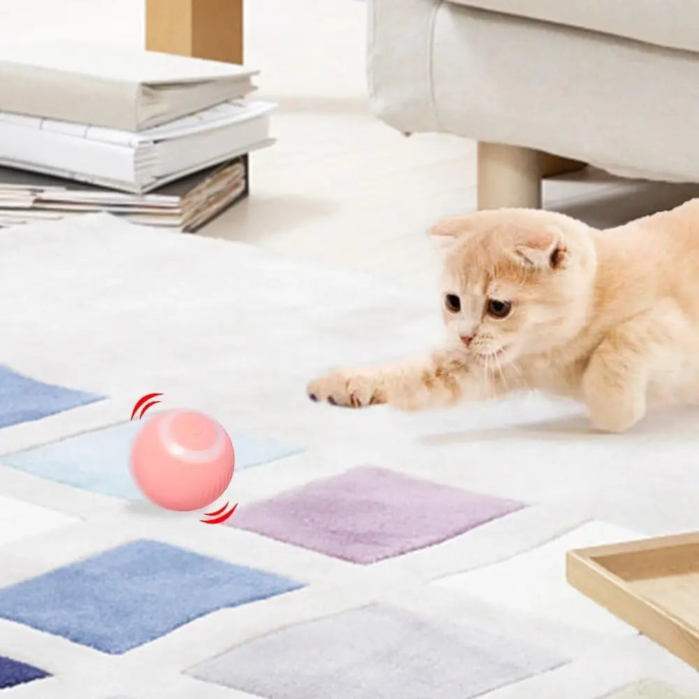Interactive Cat Ball