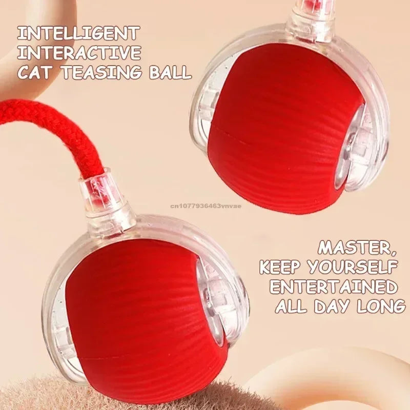Interactive Cat Ball