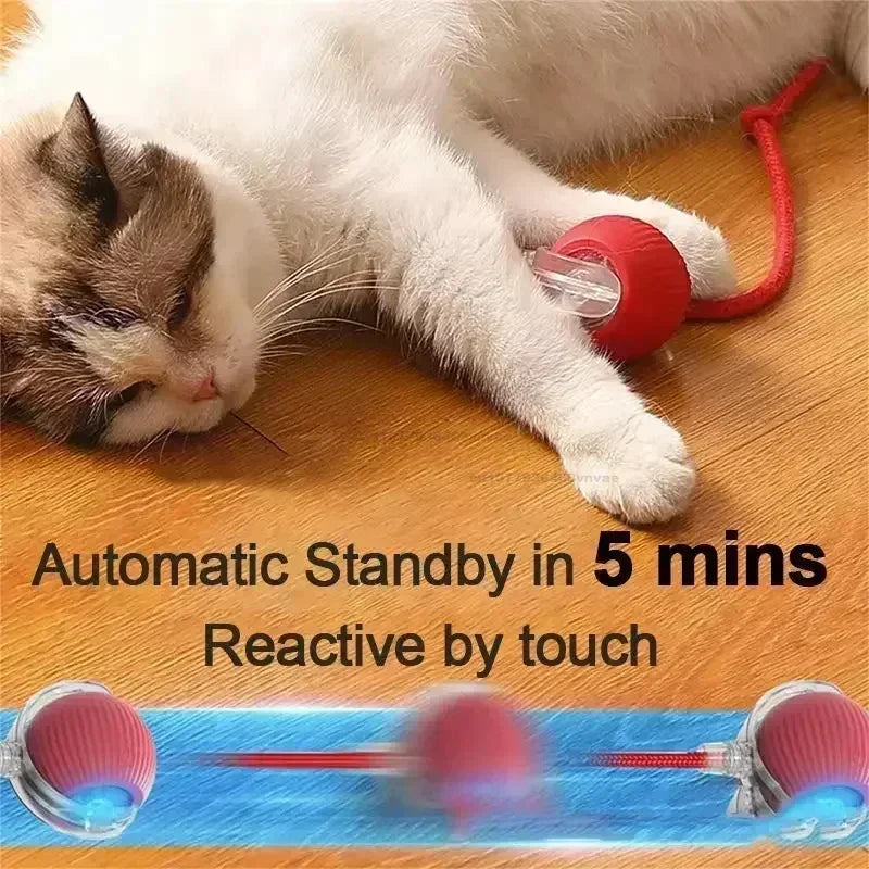 Interactive Cat Ball