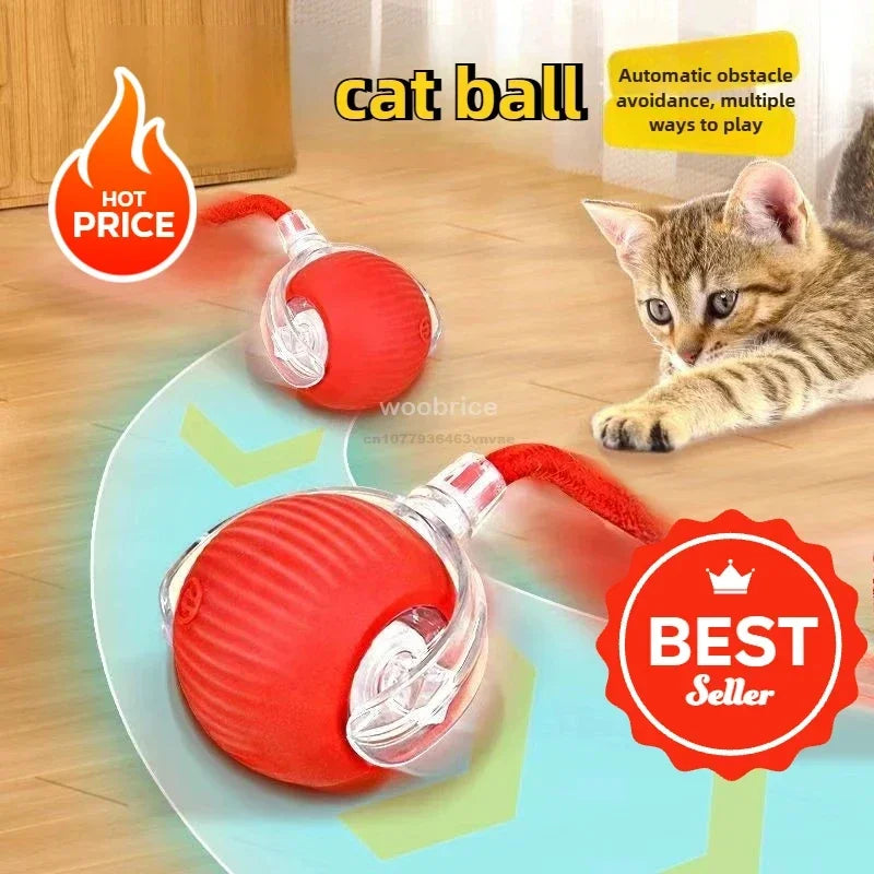 Interactive Cat Ball